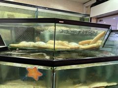 -镇发活海鲜(Clementi)