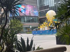 -一沙一城·岩烤牛扒(深圳首店)