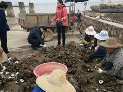 -浪琴湾尾角仔海鲜坊