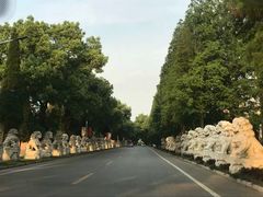 -华西村