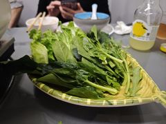 -金龙·打边炉(南京西路店)