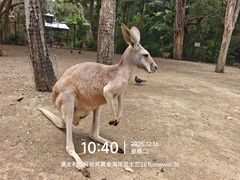 -可伦宾野生动物保护区