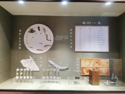 -太湖雪蚕桑文化园