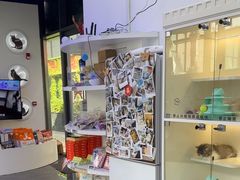 -小猫来了·猫咪专售(红山六九七九店)