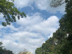 -梧桐山风景名胜区