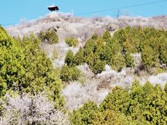 -妙峰山风景名胜区