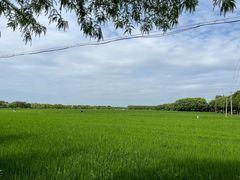 -嘉北郊野公园