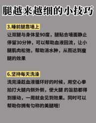 -Fundi张玉珊修身堂·indiba·BTL科技瘦身