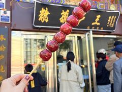 -糖葫芦王保定名吃(古莲花池店)