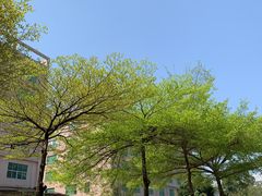 -深圳观澜格兰云天国际酒店