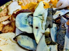 -草墩罗非鱼庄•野生菌•腊排骨(七星街上段店)