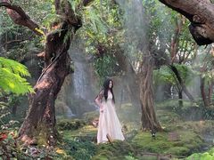 -Chom Cafe and Restaurant