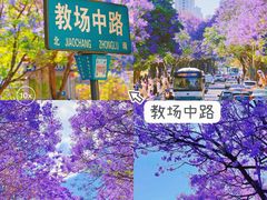 -昆明市金殿名胜区