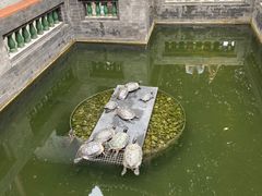 -佛山顺德金茂华美达广场大酒店