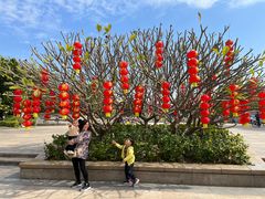 -广东花都湖国家湿地公园