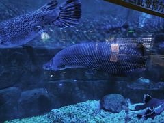 -成都浩海立方海洋公园