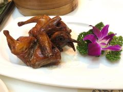 爆汁脆皮乳鸽-虾饺妹·酒家(金碧店)
