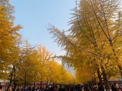 -辽宁大学(崇山校区)