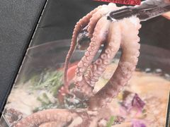 -金明子八带鱼馆(正宗韩国连锁店)