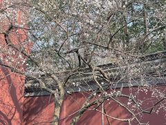-钱王祠