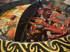 -重庆川渝肥妹火锅