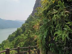 -羚羊峡古栈道森林公园