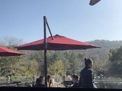 -雷峰塔·藕香居餐厅