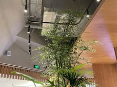 -gaga(深圳福田星河COCO Park店)