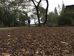 -上海植物园·停车场