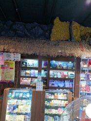 -卡通尼·Safari非洲探索乐园·生日会(金桥国际商业广场店)