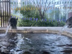 -中家鑫园温泉酒店鑫悦汤泉