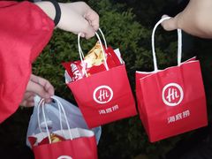 -海底捞火锅(龙岗星河COCO Park店)