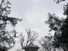 -芦月轩羊蝎子(劲松店)