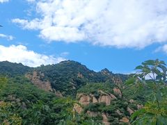 -大岭沟猕猴桃谷风景区