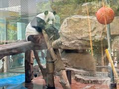 -成都动物园