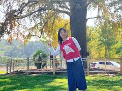 -千年银杏谷文化旅游区