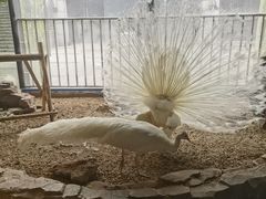 -绿色星球动物主题公园