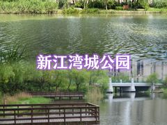 -新江湾城公园