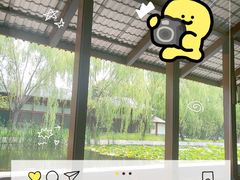 -白洋淀风景区