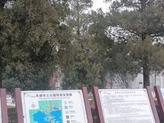 -天津水上公园