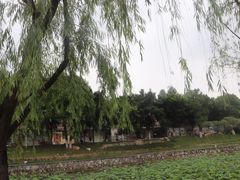 -滴水岩森林公园