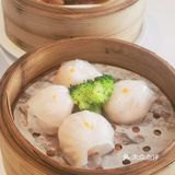 在长沙必吃的粤式早茶店 顺德菜 