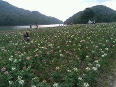 天池花海-广州市石门国家森林公园