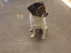 -万信至格酒店(成都欢乐谷金府地铁站店)