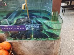 -鱼你相聚·河鲜馆(袁家岭店)
