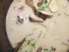 -咕嘟草帽鱼·牛奶一样的鲜鱼汤(天鹅湖万达广场店)