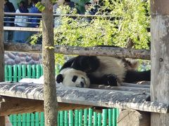 -西霞口神雕山野生动物世界