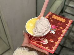 -红楼HONGLOU Gelato(淮海中路店)