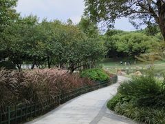 -昆山城市公园