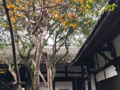 -宝光寺
